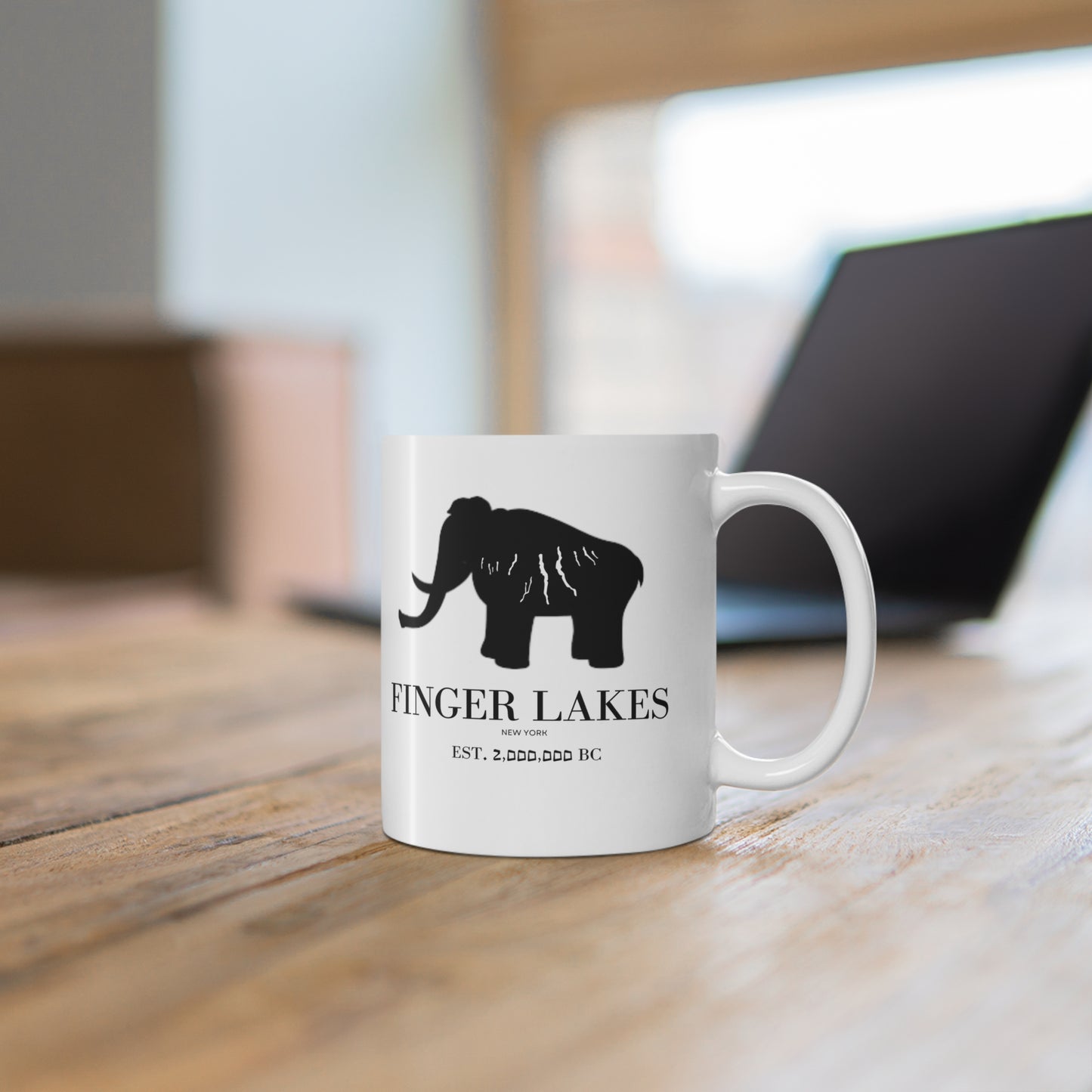 Finger Lakes Ice Age Mug (11oz)